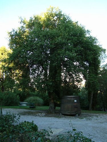 Agriturismo Il Villino Fonterutoli 外观 照片