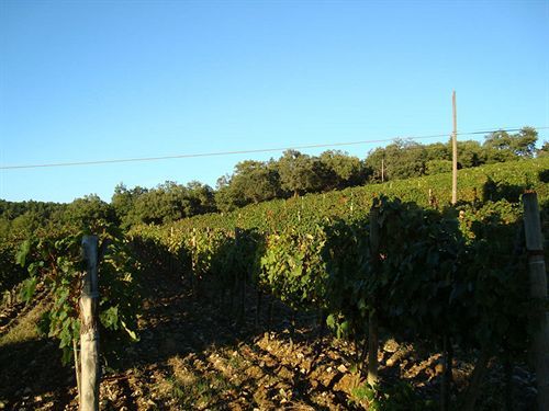 Agriturismo Il Villino Fonterutoli 外观 照片