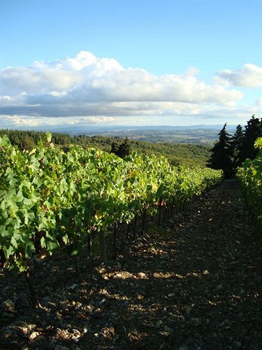Agriturismo Il Villino Fonterutoli 外观 照片